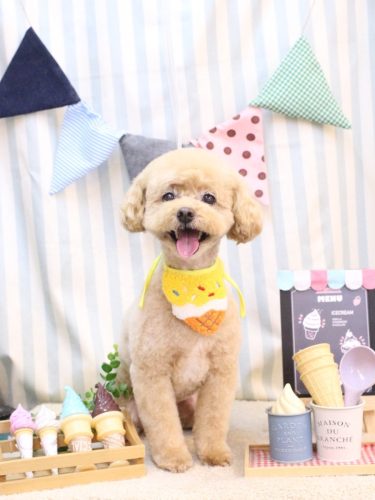 20250527ぽっきーくん